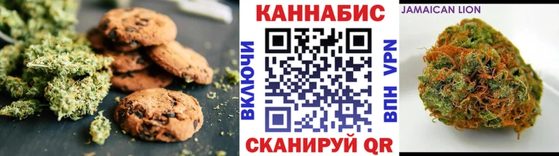Canna-Cookies конопля  Купить закладки  Мурино 