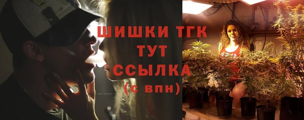 крисы Бородино