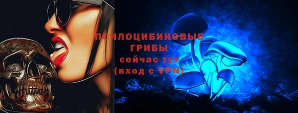 амф Бронницы