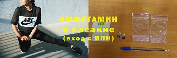 крисы Бородино