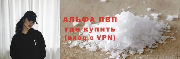 крисы Бородино