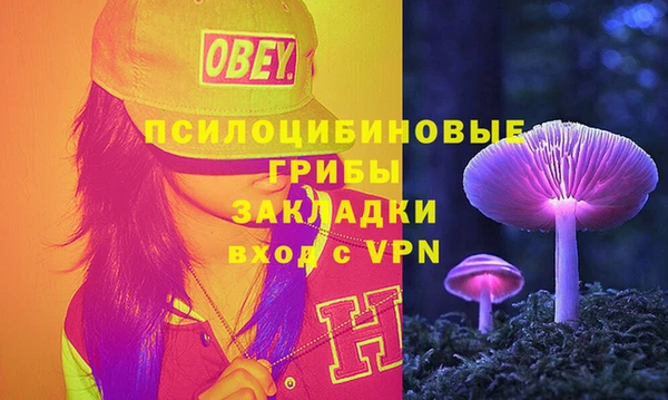 амф Бронницы