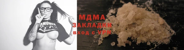 крисы Бородино