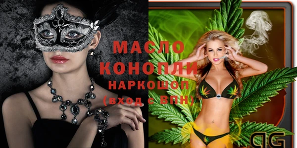 крисы Бородино