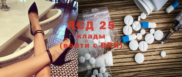 крисы Бородино