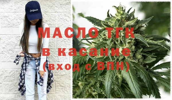 крисы Бородино