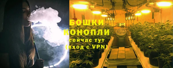 крисы Бородино
