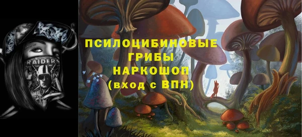 амф Бронницы