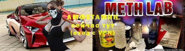 крисы Бородино