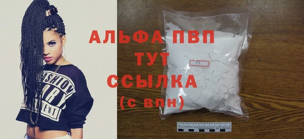 крисы Бородино